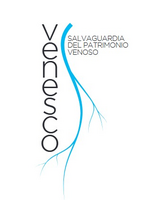 VENESCO Logo